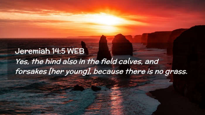 Picture 02 - Jeremiah 14:5 WEB Desktop Wallpaper - Yes, the hind also in the field calves, and - Desktop Bible Verse Wallpaper