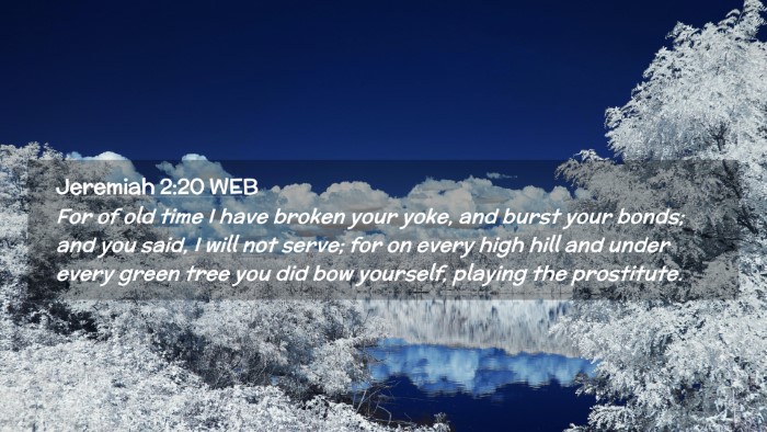 Picture 02 - Jeremiah 2:20 WEB Desktop Wallpaper - For of old time I have broken your yoke, and - Desktop Bible Verse Wallpaper
