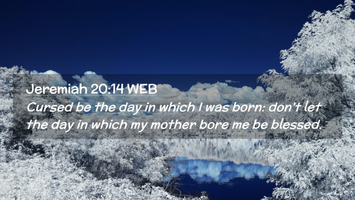 Picture 02 - Jeremiah 20:14 WEB Desktop Wallpaper - Cursed be the day in which I was born: don't let - Desktop Bible Verse Wallpaper