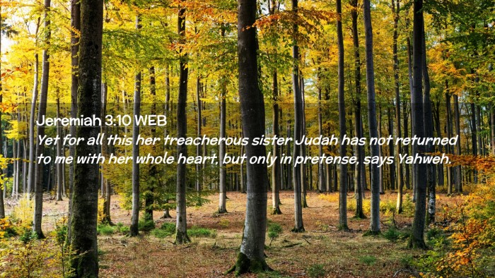 Picture 02 - Jeremiah 3:10 WEB Desktop Wallpaper - Yet for all this her treacherous sister Judah has - Desktop Bible Verse Wallpaper
