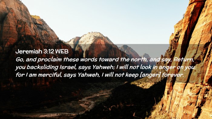 Picture 02 - Jeremiah 3:12 WEB Desktop Wallpaper - Go, and proclaim these words toward the north, - Desktop Bible Verse Wallpaper