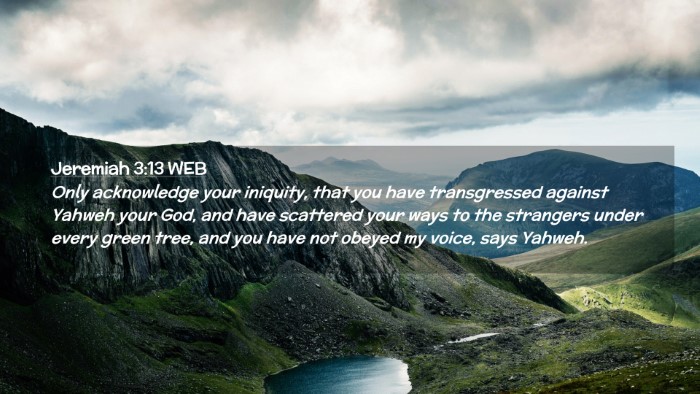 Picture 02 - Jeremiah 3:13 WEB Desktop Wallpaper - Only acknowledge your iniquity, that you have - Desktop Bible Verse Wallpaper