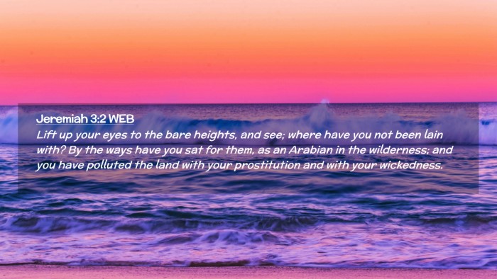 Picture 02 - Jeremiah 3:2 WEB Desktop Wallpaper - Lift up your eyes to the bare heights, and see; - Desktop Bible Verse Wallpaper
