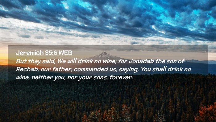 Picture 02 - Jeremiah 35:6 WEB Desktop Wallpaper - But they said, We will drink no wine; for Jonadab - Desktop Bible Verse Wallpaper
