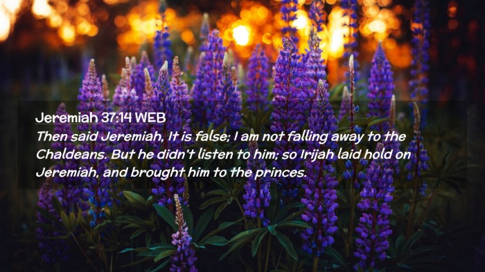 Picture 02 - Jeremiah 37:14 WEB Desktop Wallpaper - Then said Jeremiah, It is false; I am not falling - Desktop Bible Verse Wallpaper
