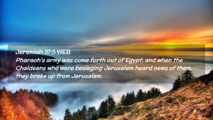 Picture 02 - Jeremiah 37:5 WEB Desktop Wallpaper - Pharaoh's army was come forth out of Egypt; and - Desktop Bible Verse Wallpaper
