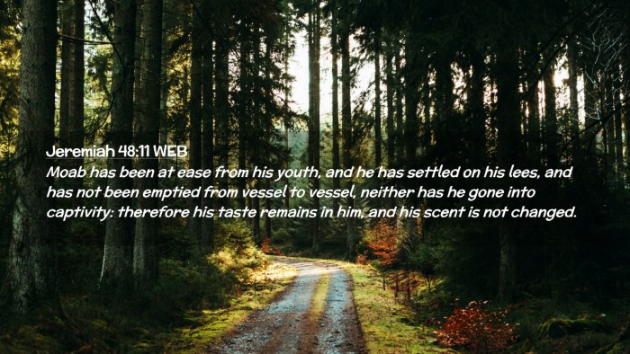 Picture 02 - Jeremiah 48:11 WEB Desktop Wallpaper - Moab has been at ease from his youth, and he has - Desktop Bible Verse Wallpaper
