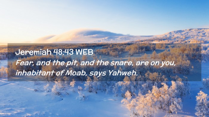Picture 02 - Jeremiah 48:43 WEB Desktop Wallpaper - Fear, and the pit, and the snare, are on you, - Desktop Bible Verse Wallpaper