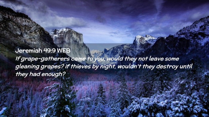 Picture 02 - Jeremiah 49:9 WEB Desktop Wallpaper - If grape-gatherers came to you, would they not - Desktop Bible Verse Wallpaper