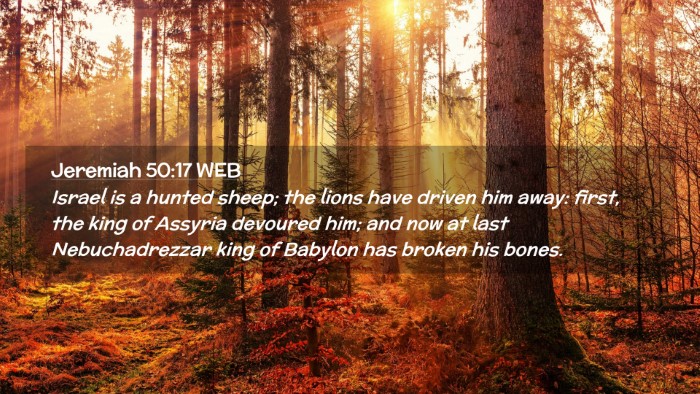 Picture 02 - Jeremiah 50:17 WEB Desktop Wallpaper - Israel is a hunted sheep; the lions have driven - Desktop Bible Verse Wallpaper