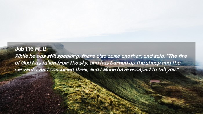 Picture 02 - Job 1:16 WEB Desktop Wallpaper - While he was still speaking, there also came - Desktop Bible Verse Wallpaper