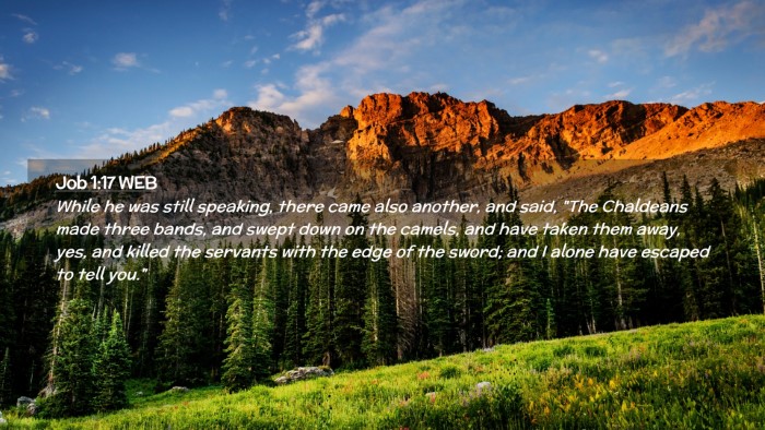 Picture 02 - Job 1:17 WEB Desktop Wallpaper - While he was still speaking, there came also - Desktop Bible Verse Wallpaper