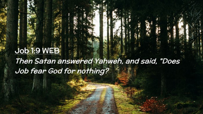 Picture 02 - Job 1:9 WEB Desktop Wallpaper - Then Satan answered Yahweh, and said, 