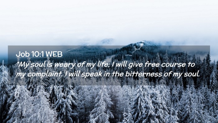 Picture 02 - Job 10:1 WEB Desktop Wallpaper - 