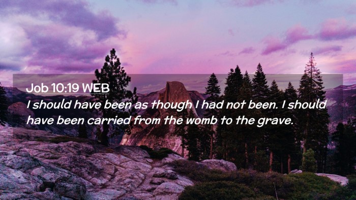 Picture 02 - Job 10:19 WEB Desktop Wallpaper - I should have been as though I had not been. I - Desktop Bible Verse Wallpaper
