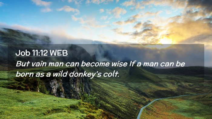 Picture 02 - Job 11:12 WEB Desktop Wallpaper - But vain man can become wise If a man can be born - Desktop Bible Verse Wallpaper