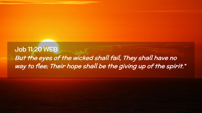 Picture 02 - Job 11:20 WEB Desktop Wallpaper - But the eyes of the wicked shall fail, They shall - Desktop Bible Verse Wallpaper