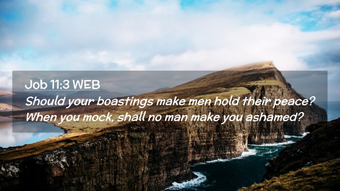 Picture 02 - Job 11:3 WEB Desktop Wallpaper - Should your boastings make men hold their peace? - Desktop Bible Verse Wallpaper