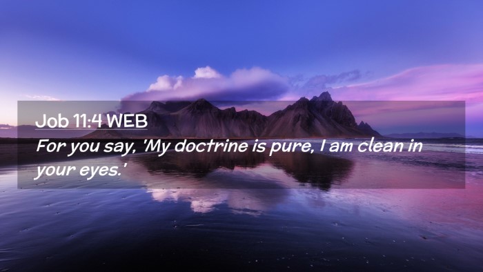 Picture 02 - Job 11:4 WEB Desktop Wallpaper - For you say, 'My doctrine is pure, I am clean in - Desktop Bible Verse Wallpaper