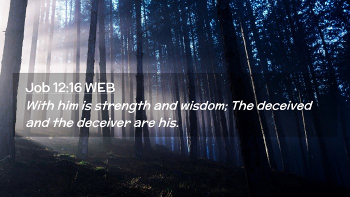 Picture 02 - Job 12:16 WEB Desktop Wallpaper - With him is strength and wisdom; The deceived and - Desktop Bible Verse Wallpaper