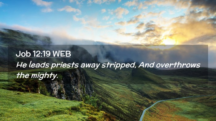 Picture 02 - Job 12:19 WEB Desktop Wallpaper - He leads priests away stripped, And overthrows - Desktop Bible Verse Wallpaper