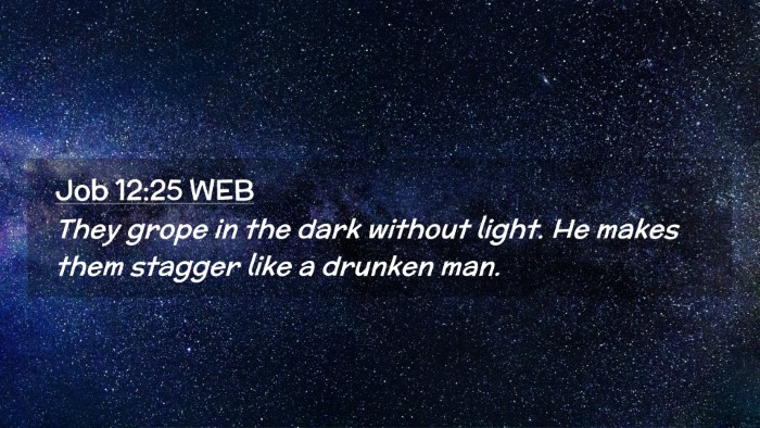 Picture 02 - Job 12:25 WEB Desktop Wallpaper - They grope in the dark without light. He makes - Desktop Bible Verse Wallpaper