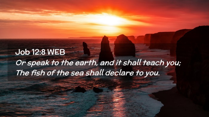 Picture 02 - Job 12:8 WEB Desktop Wallpaper - Or speak to the earth, and it shall teach you; - Desktop Bible Verse Wallpaper