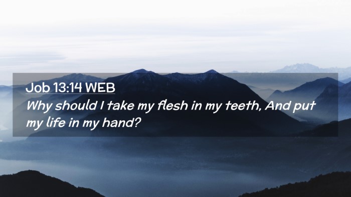 Picture 02 - Job 13:14 WEB Desktop Wallpaper - Why should I take my flesh in my teeth, And put - Desktop Bible Verse Wallpaper