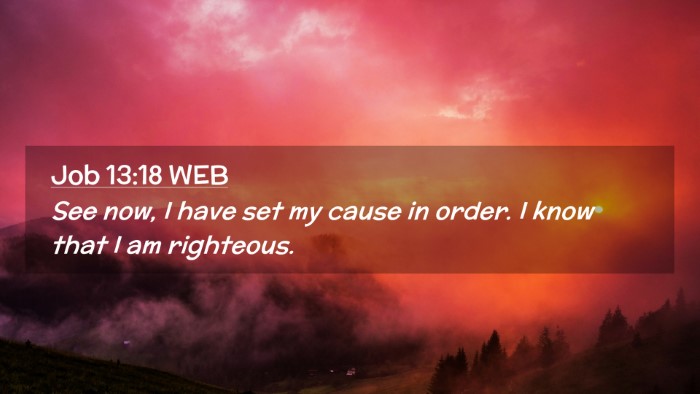 Picture 02 - Job 13:18 WEB Desktop Wallpaper - See now, I have set my cause in order. I know - Desktop Bible Verse Wallpaper