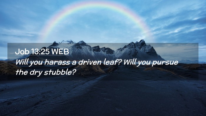 Picture 02 - Job 13:25 WEB Desktop Wallpaper - Will you harass a driven leaf? Will you pursue - Desktop Bible Verse Wallpaper