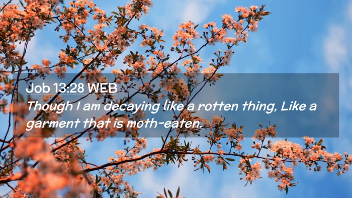 Picture 02 - Job 13:28 WEB Desktop Wallpaper - Though I am decaying like a rotten thing, Like a - Desktop Bible Verse Wallpaper