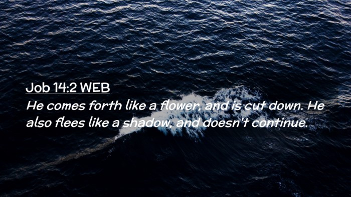 Picture 02 - Job 14:2 WEB Desktop Wallpaper - He comes forth like a flower, and is cut down. He - Desktop Bible Verse Wallpaper