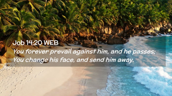 Picture 02 - Job 14:20 WEB Desktop Wallpaper - You forever prevail against him, and he passes; - Desktop Bible Verse Wallpaper