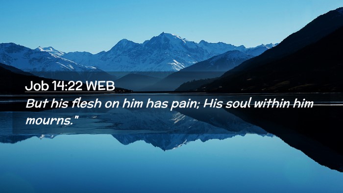 Picture 02 - Job 14:22 WEB Desktop Wallpaper - But his flesh on him has pain; His soul within - Desktop Bible Verse Wallpaper