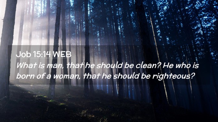 Picture 02 - Job 15:14 WEB Desktop Wallpaper - What is man, that he should be clean? He who is - Desktop Bible Verse Wallpaper