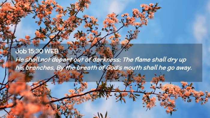 Picture 02 - Job 15:30 WEB Desktop Wallpaper - He shall not depart out of darkness; The flame - Desktop Bible Verse Wallpaper