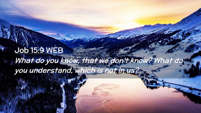 Picture 02 - Job 15:9 WEB Desktop Wallpaper - What do you know, that we don't know? What do you - Desktop Bible Verse Wallpaper