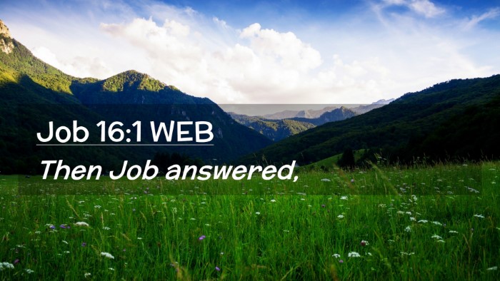 Picture 02 - Job 16:1 WEB Desktop Wallpaper - Then Job - Desktop Bible Verse Wallpaper