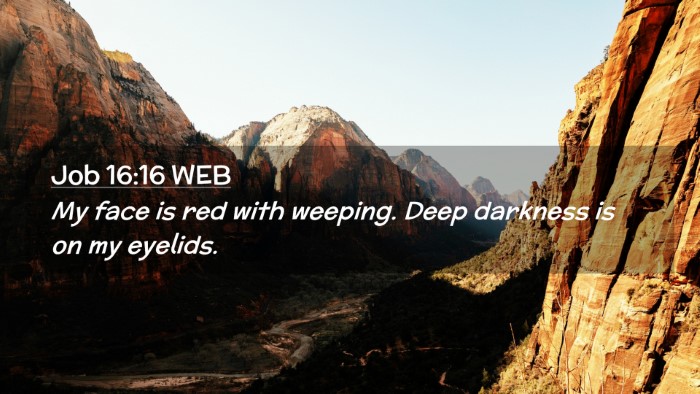 Picture 02 - Job 16:16 WEB Desktop Wallpaper - My face is red with weeping. Deep darkness is on - Desktop Bible Verse Wallpaper