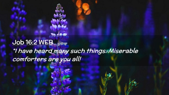 Picture 02 - Job 16:2 WEB Desktop Wallpaper - 