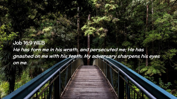 Picture 02 - Job 16:9 WEB Desktop Wallpaper - He has torn me in his wrath, and persecuted me; - Desktop Bible Verse Wallpaper