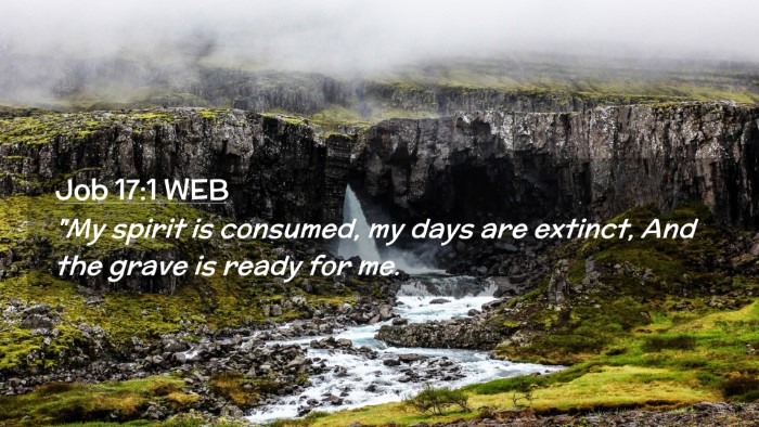 Picture 02 - Job 17:1 WEB Desktop Wallpaper - 