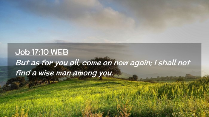 Picture 02 - Job 17:10 WEB Desktop Wallpaper - But as for you all, come on now again; I shall - Desktop Bible Verse Wallpaper
