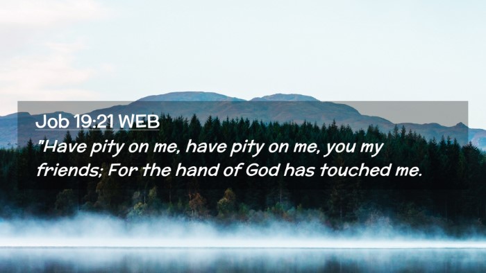 Picture 02 - Job 19:21 WEB Desktop Wallpaper - 