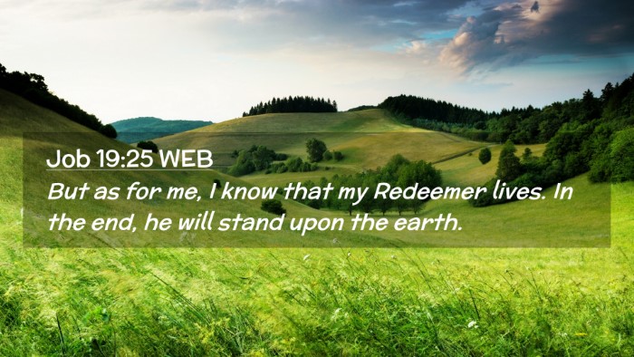 Picture 02 - Job 19:25 WEB Desktop Wallpaper - But as for me, I know that my Redeemer lives. In - Desktop Bible Verse Wallpaper