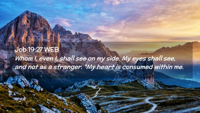 Picture 02 - Job 19:27 WEB Desktop Wallpaper - Whom I, even I, shall see on my side. My eyes - Desktop Bible Verse Wallpaper