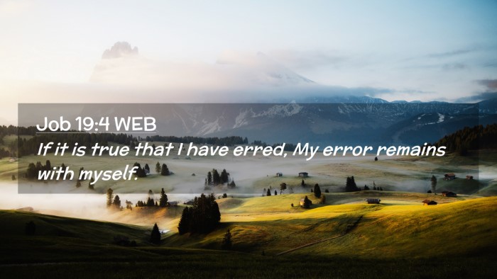 Picture 02 - Job 19:4 WEB Desktop Wallpaper - If it is true that I have erred, My error remains - Desktop Bible Verse Wallpaper