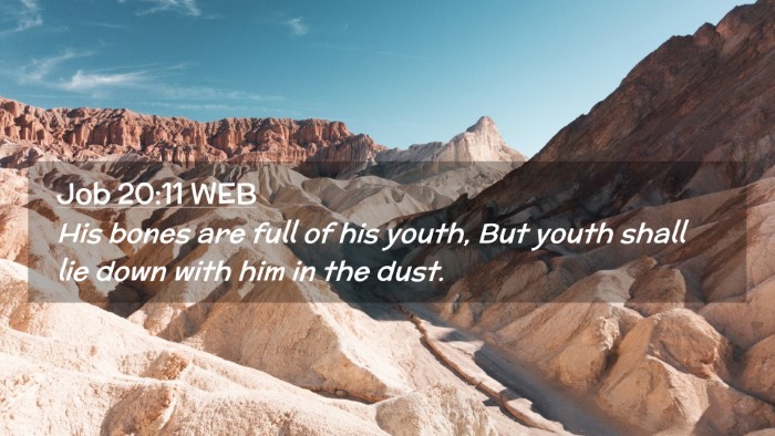 Picture 02 - Job 20:11 WEB Desktop Wallpaper - His bones are full of his youth, But youth shall - Desktop Bible Verse Wallpaper