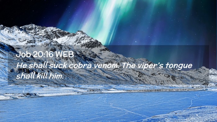Picture 02 - Job 20:16 WEB Desktop Wallpaper - He shall suck cobra venom. The viper's tongue - Desktop Bible Verse Wallpaper