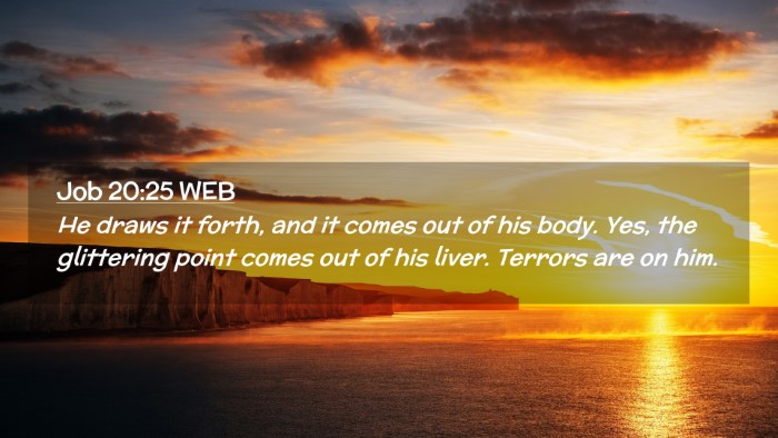 Picture 02 - Job 20:25 WEB Desktop Wallpaper - He draws it forth, and it comes out of his body. - Desktop Bible Verse Wallpaper